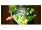 Looking for Expert ISO 50001 Certification Body? Contact Professional Auditors Before