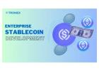 Enterprise Stablecoin Development for Business Leaders Explained