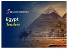  Get Latest Egypt Tender Alerts & Procurement News | Tender Impulse