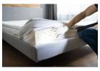 Trusted Pest Control in Navi Mumbai – 10+ Years of Experience