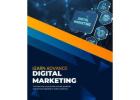 Best Advance Digital Marketing Course with Placement in Delhi NCR