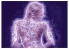 Body Awareness Lessons - Body awareness works