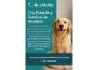 Dog Boarding Services in Mumbai