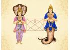 Rahu Ketu Dosh Remedies and Puja Trimbakeshwar