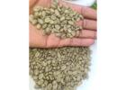 The Green Coffee beans (Arabica Coffee)  Grade: AA, A, and AB+27719755564