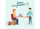 Affordable Expert Help for Assignments