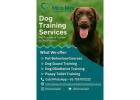 Dog Training Service in Pune