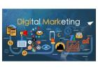 A Cost-Effective and Trustworthy Digital Marketing Agency for Every Organization