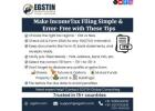Make Income Tax Filing Simple with EGSTIN