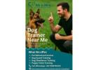 Dog Trainer Near Me