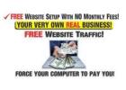 Get Paid $1000s Directly Deposited Daily! 