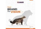 Best Digital Marketing Company in Belapur, Navi Mumbai