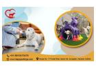 HappyPettings Kennel Gurgaon