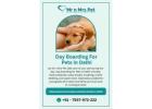 Day Boarding for Pets in Delhi