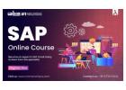 Join SAP Online Tutorial Program With Job Assistance