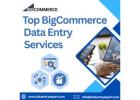 Best BigCommerce Data Entry sevices