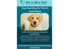 Day Boarding for Pets in Hyderabad