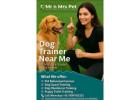 Experienced Dog Trainer Near Me