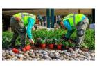 Best Landscaping Services in USA 
