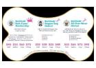 Affordable and Professional Dog Grooming Packages