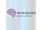 Brain Squared Solutions Inc.