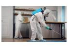 Best Pest Control App Development Company