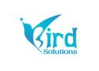 iBird Solutions – Ahmedabad’s Top Digital Marketing & Web Agency