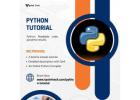 Master Python Programming with Ease!