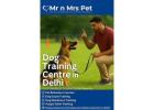 Dog Training Centre in Delhi