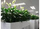 Need a Gardener? Simply Book Gardener Online Here – Greenlands