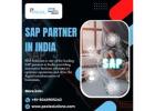 SAP Partner in India | SAP Consulting in 