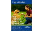 Dog Training Centre in Hyderabad