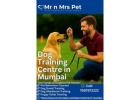 Dog Training Centre in Mumbai