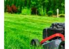 Best Lawn Care in Denver Colorado Offered by DreamLawn