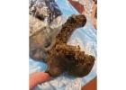 Cannabis Delivery Upper East Side - Zero Point Moroccan Hash
