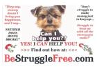 Do you want to make $10k+ months from anywhere in the world?