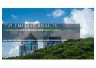 TVS Emerald Auralis Thanisandra: How’s the ROI in 2025?