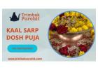 Kaal Sarp Dosh Puja | Can Kaal Sarp Dosh be Removed Completely?
