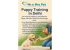 Puppy Training in Delhi