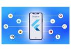  Hire Custom Flutter App Developers from Flutternest