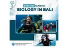 Explore Marine Biology in Bali