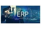 Best ERP System for Manufacturing in India | Elite Mindz ERP Software