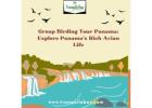 Group Birding Tour Panama: Explore Panama’s Rich Avian Life