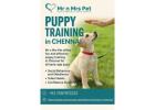 Puppy Training in Chennai