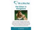 Pet Sitter in Bangalore