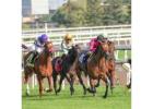 Triple Crown Racing Action – Bet Smarter, Win Bigger