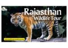 Rajasthan’s Hidden Wildlife Gems
