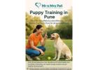 Puppy Training in Pune