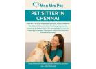 Pet Sitter in Chennai