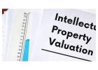 Discover the Top Ways to Handle Intellectual Property Valuation